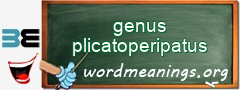 WordMeaning blackboard for genus plicatoperipatus